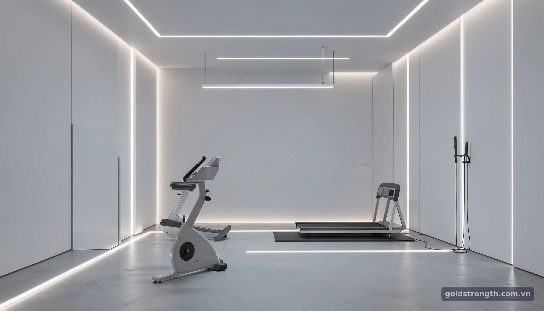 Xu hướng thiết kế phòng gym đột phá: Công nghệ và trải nghiệm 2026 - Vì sao mô hình phòng gym đang thay đổi?