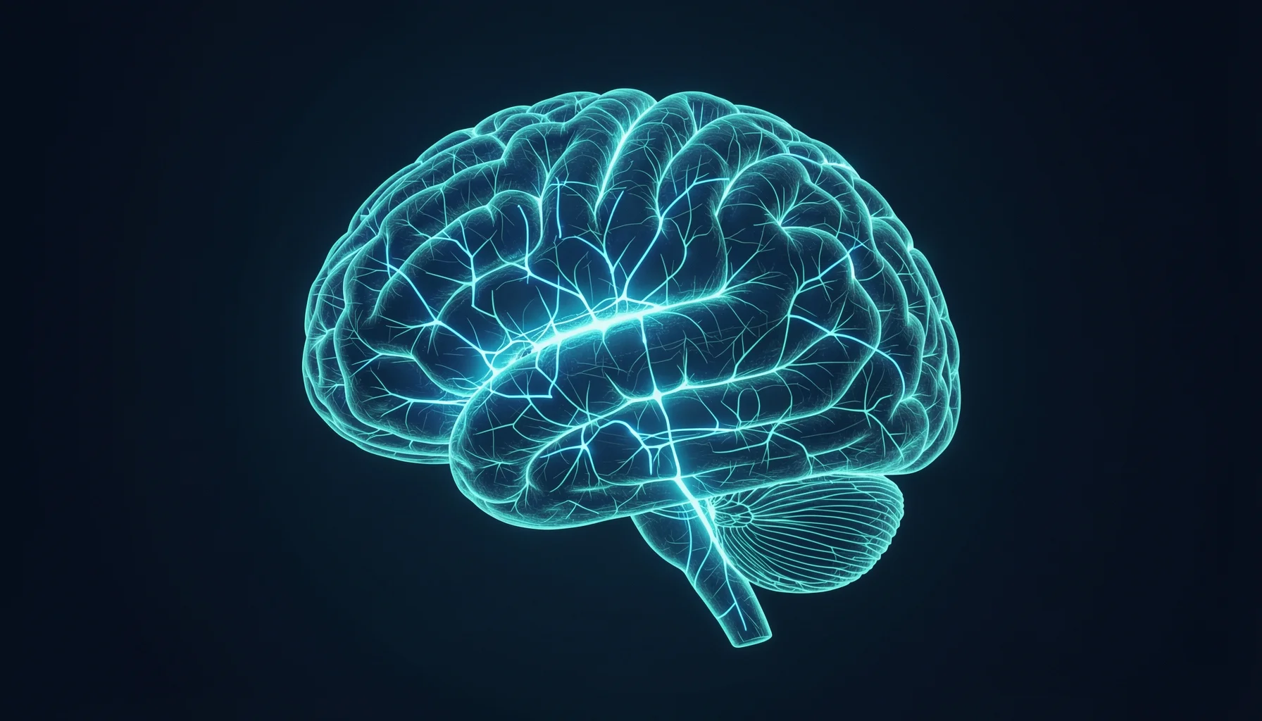 ThS.BS Hoàng Quân: Bác sĩ nội thần kinh chia sẻ về migraine và chóng mặt - ThS.BS Hoàng Quân: Bác sĩ nội thần kinh phân loại migraine và chóng mặt như thế nào?